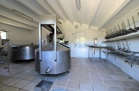 Vendita - Rif. 0951V Finca rústica - Ciutadella