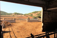 Vendita - Rif. 0951V Finca rústica - Ciutadella