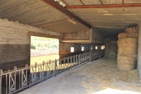 Vendita - Rif. 0951V Finca rústica - Ciutadella