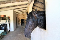 Vendita - Rif. 0951V Finca rústica - Ciutadella