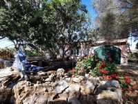 Country Estate in Sant Climent Maó