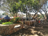 Country Estate in Sant Climent Maó