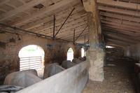 Venta - Ref. 1408V Casa de campo/Finca rústica - Maó (Sant Climent)