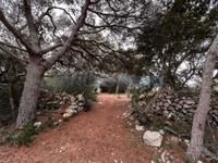 Achat - Ref. 1430V Terrain/Propriété rustique - Sant Lluís (S'Algar)