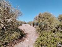 For sale - Ref. 1425V Country house/Country Estate - Sant Lluís (Sant Lluis)