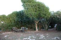 Vendita - Rif. 1593V Casa/Casa de campo/Finca rústica/Hotel/Negocio - Maó (Sant Climent)