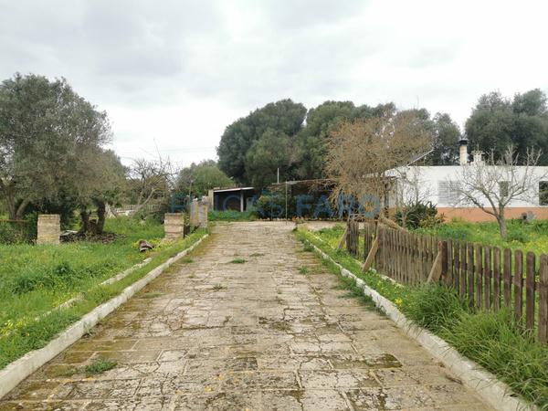 Ref. 1597V - Achat A VENDRE MAISON DE CAMPAGNE DANS ENVIRONNEMENT CALME ET COSY DE CIUTADELLA