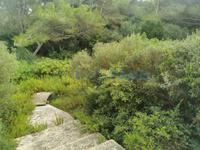 Achat - Ref. 1641V Magasin/Terrain/Terrain/Almacén - Maó (Maó )