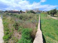 Plot in Malbúger Maó