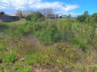 Plot in Malbúger Maó