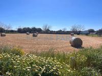 For sale - Ref. 1670V Country house/Small rustic house/Land - Maó (Maó )