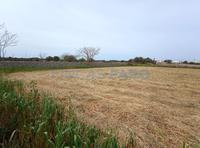 For sale - Ref. 1670V Country house/Small rustic house/Land - Maó (Maó )