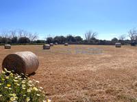 For sale - Ref. 1670V Country house/Small rustic house/Land - Maó (Maó )