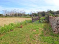 For sale - Ref. 1670V Country house/Small rustic house/Land - Maó (Maó )