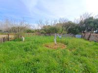 For sale - Ref. 1670V Country house/Small rustic house/Land - Maó (Maó )