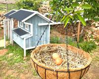 For sale - Ref. 1670V Country house/Small rustic house/Land - Maó (Maó )