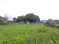 For sale - Ref. 1597V Townhouse/Country house/Small rustic house/Country Estate - Ciutadella