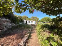 Charming family orchard with a wide variety of fruit trees and space for leisure and relaxation Es Castell