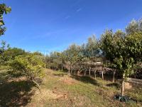 For sale - Ref. 1687V Small rustic house/Land/Country Estate - Es Castell