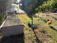 For sale - Ref. 1687V Small rustic house/Land/Country Estate - Es Castell