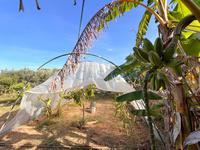 For sale - Ref. 1687V Small rustic house/Land/Country Estate - Es Castell