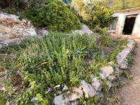 For sale - Ref. 1687V Small rustic house/Land/Country Estate - Es Castell