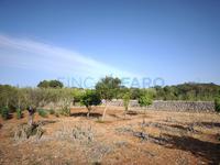 Achat - Ref. 1689V Maison de campagne/Cabanon - Sant Lluís (Sant Lluis)