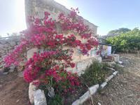 Achat - Ref. 1689V Maison de campagne/Cabanon - Sant Lluís (Sant Lluis)