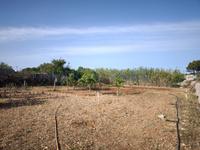 Achat - Ref. 1689V Maison de campagne/Cabanon - Sant Lluís (Sant Lluis)