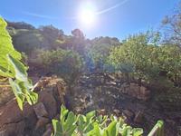 Terrain Alaior