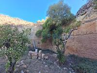 Achat - Ref. 1673V Terrain - Alaior