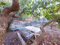Achat - Ref. 1673V Terrain - Alaior